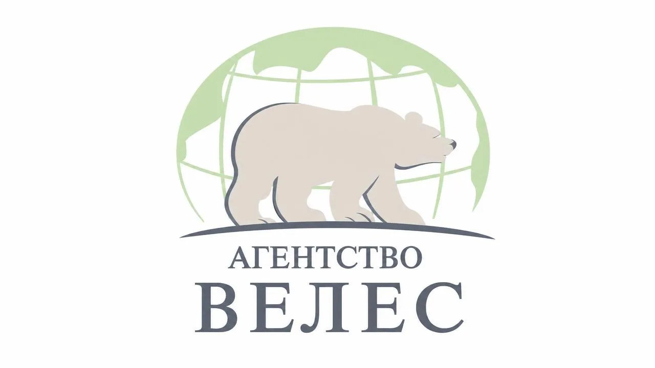 Логотип Агентство Велес